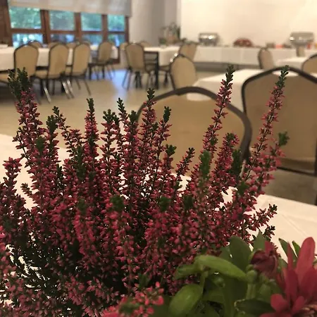 Osrodek Wypoczynkowy Wrzos Steszewko Hotel Pobiedziska