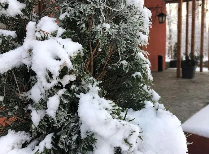 Osrodek Wypoczynkowy Wrzos Steszewko Hotel