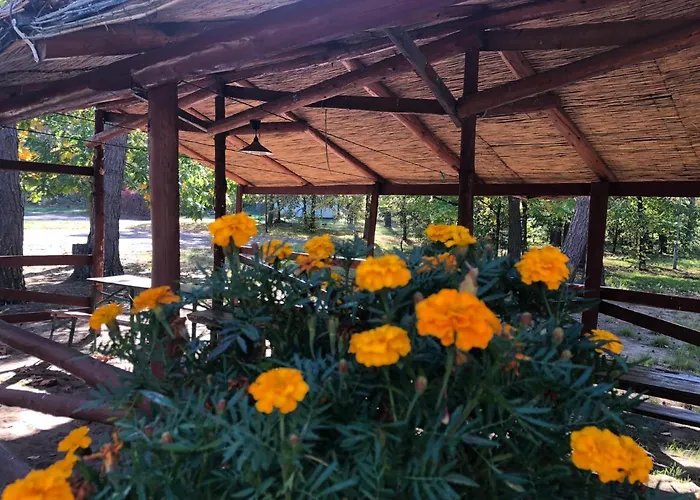 Osrodek Wypoczynkowy Wrzos Steszewko Hotel Pobiedziska