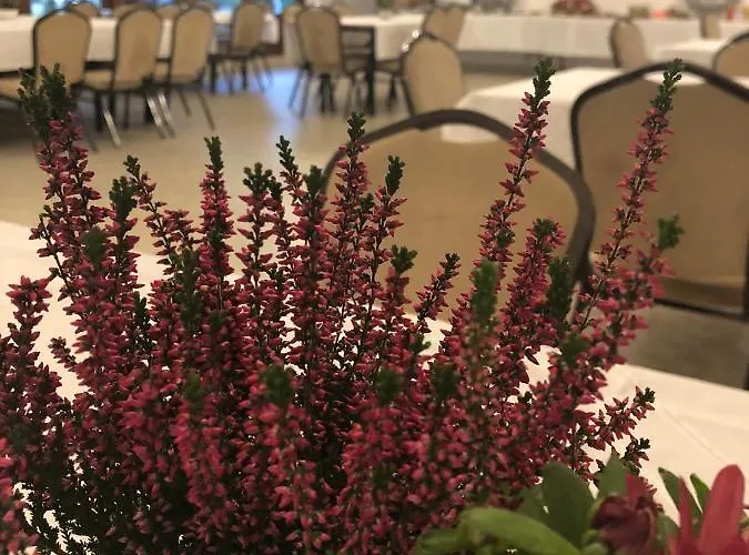 Osrodek Wypoczynkowy Wrzos Steszewko Hotel Pobiedziska