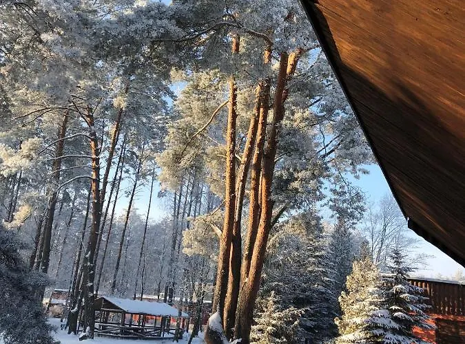 Osrodek Wypoczynkowy Wrzos Steszewko * Pobiedziska